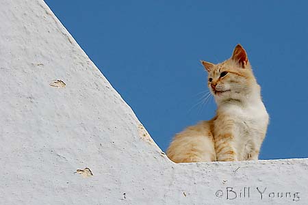 Santorini_Fira_IMG_3042