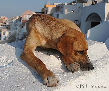 Santorini_Oia_IMG_4603