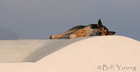 Santorini_Oia_IMG_4841